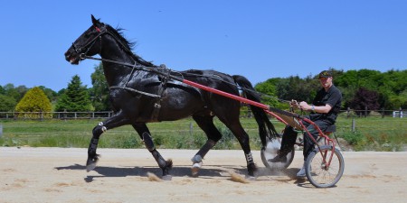 VISITE CENTRE DE PRE ENTRAINEMENT AVEC Arnaud FIEURGANT AU SULKY